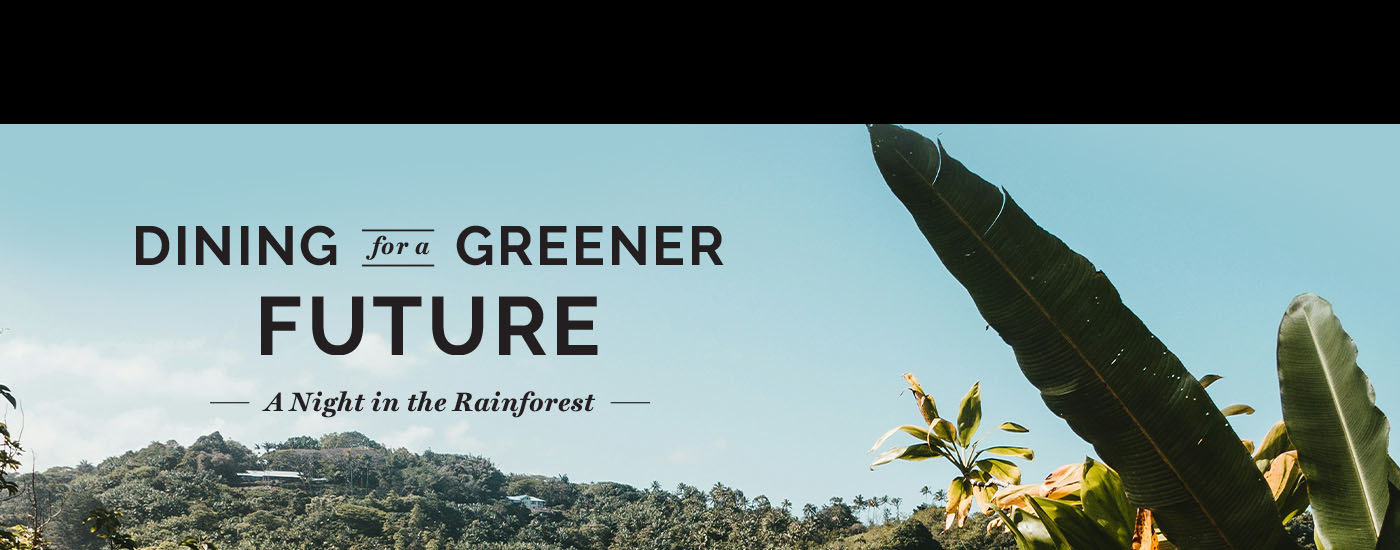 Dining for a Greener Future: A Night in the Rainforest.