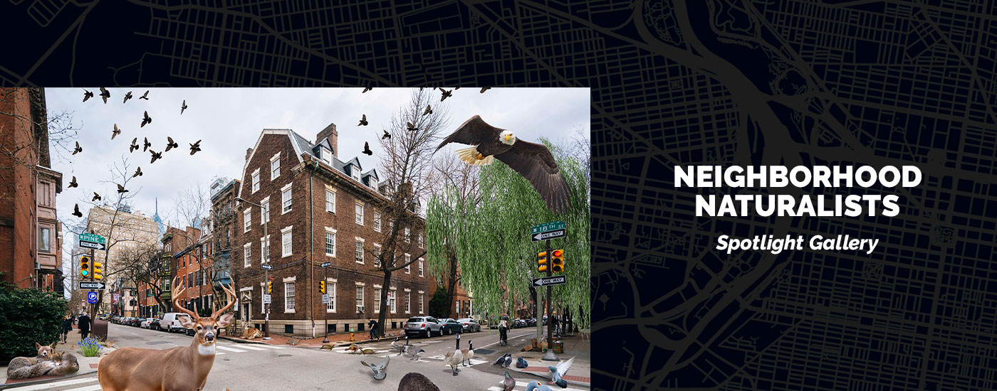 Neighborhood Naturalists - Spotlight Gallery