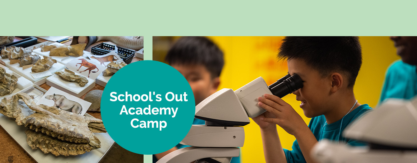 A child looking through a microscope, School's Out Academy Camp.