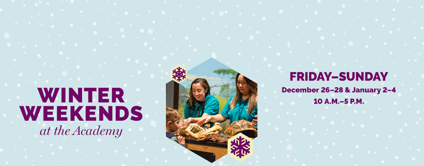 Winter Weekends at the Academy