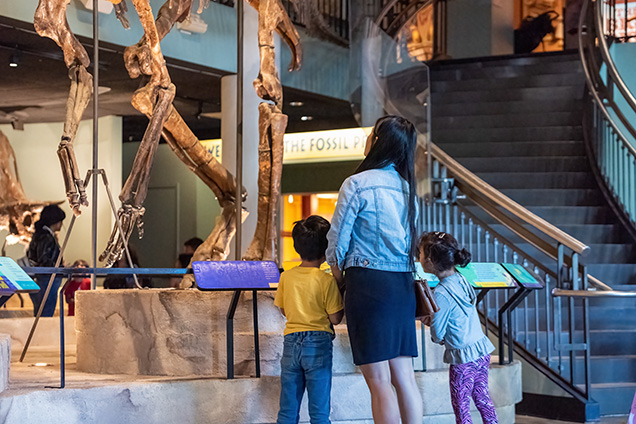 A woman and two children looking at a dinosaur skeleton.