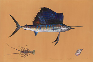 atlantic sailfish painting by James Prosek