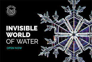 Invisible World of Water