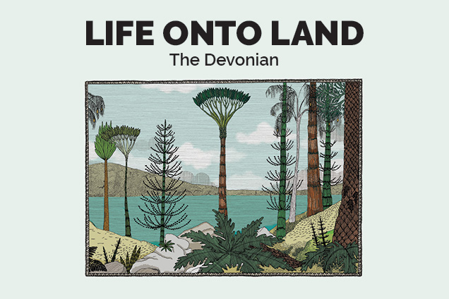 life onto land the devonian graphic - an illustration with trees and water in the background