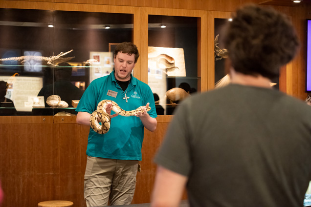 An Academy staff member showing a ball python to the public.