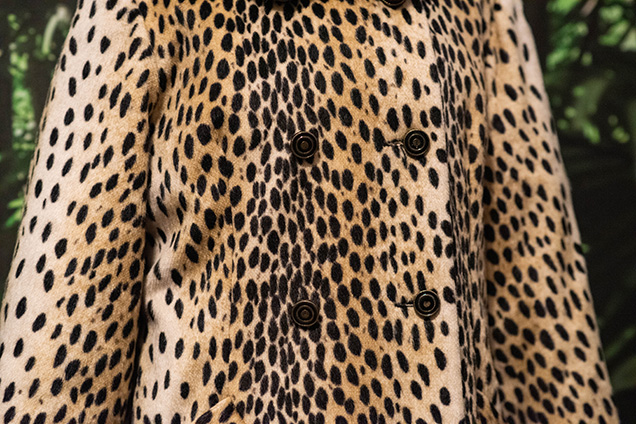 A close-up of a leopard coat