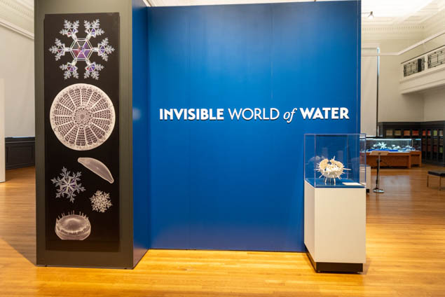 invisible world of water on blue wall with diatoms and snowflakes