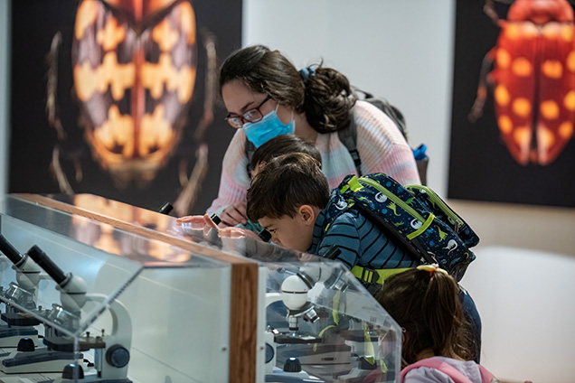 A woman and children look into microscopes.