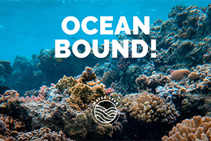 underwater scene with coral and blue water with ocean bound in white text