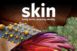 skin living armor evolving identity graphic with animal skins