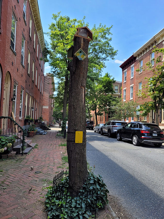 yellow metal square on tree stump with bird house on city block