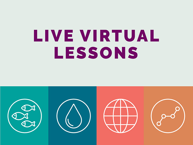 A graphic with three fish, a raindrop, a globe, and with a chemical bond with the text 'Virtual Lesson Activities'