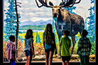 A group of children look at a moose diorama.