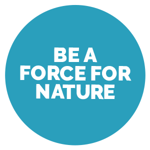 A teal circle with the text 'A Force for Nature'